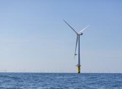 Offshore wind farm