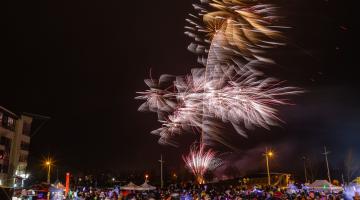 Fireworks and Crowd